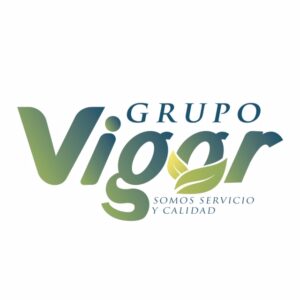 Grupo Vigor